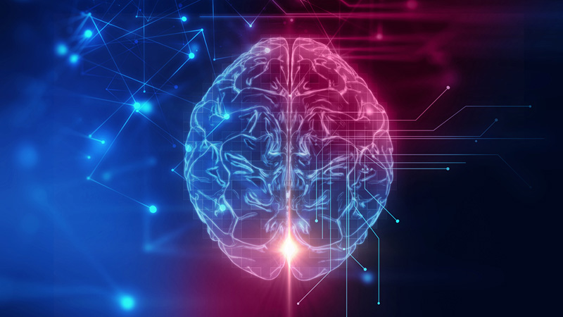 AI Brain