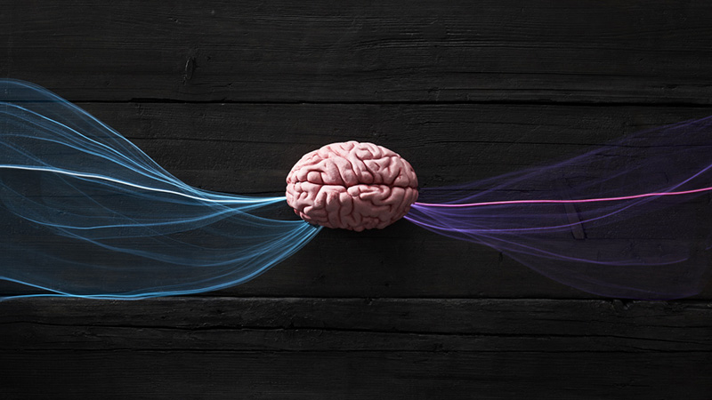 Brain Intelligence