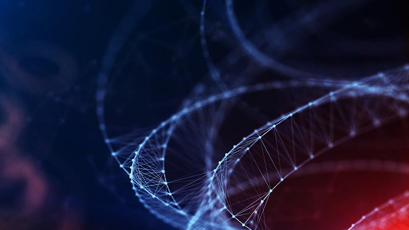 Deep Learning