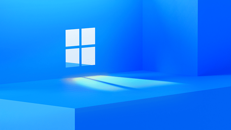 Windows 11 News