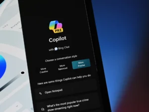 Microsoft copilot